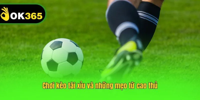 Chơi kèo tài xỉu và những mẹo từ cao thủ
