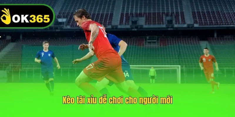 Kèo tài xỉu dễ chơi cho người mới
